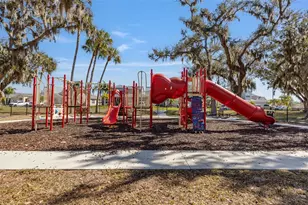 9004 41st St E, Parrish, FL 34219 - Photo 49