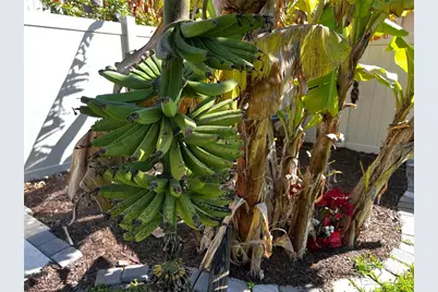 622 Boundary Boulevard, Rotonda West, FL 33947 - Photo 51