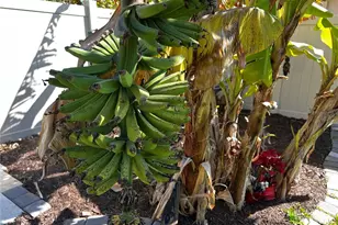 622 Boundary Blvd, Rotonda West, FL 33947 - Photo 51