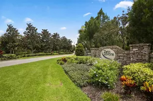 16105 31st St E, Parrish, FL 34219 - Photo 51