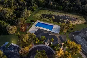 11908 Oak Ridge Dr, Parrish, FL 34219 - Photo 67