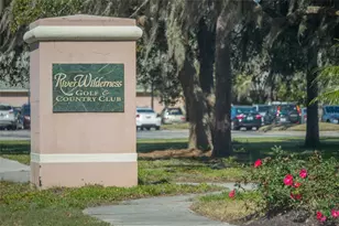 11908 Oak Ridge Dr, Parrish, FL 34219 - Photo 69