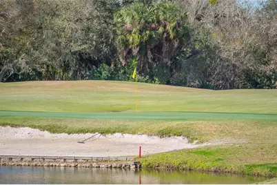 11908 Oak Ridge Drive, Parrish, FL 34219 - Photo 57