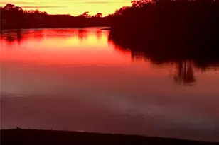 5914 53rd Ln E, Bradenton, FL 34203 - Photo 51