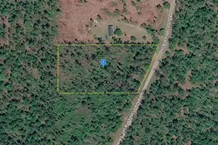 1177 NE Blue Ridge Landing Ave, Lee, FL 32059 - Photo 1