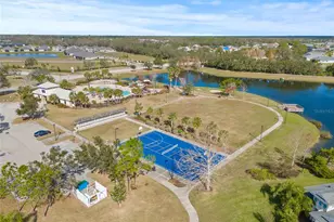 12556 Ryegrass Loop, Parrish, FL 34219 - Photo 47