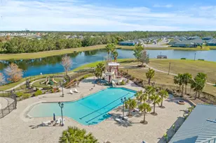 12556 Ryegrass Loop, Parrish, FL 34219 - Photo 49