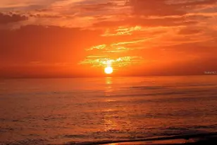 8800 Midnight Pass Rd, Sarasota, FL 34242 - Photo 89