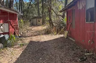 12050 NW 90 Ave, Chiefland, FL 32626 - Photo 15