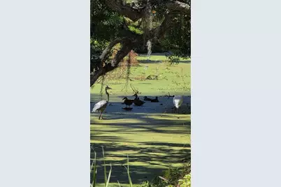 5165 Cedar Hammock Ln #5165, Sarasota, FL 34232 - Photo 61