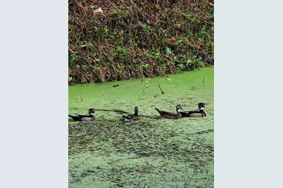 5165 Cedar Hammock Ln #5165, Sarasota, FL 34232 - Photo 59