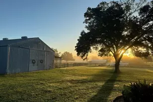 331 SE Hwy 42, Summerfield, FL 34491 - Photo 23