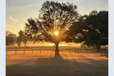 331 SE Highway 42, Summerfield, FL 34491 - Photo 67