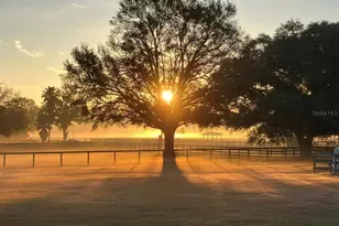 331 SE Hwy 42, Summerfield, FL 34491 - Photo 67