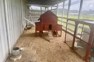 331 SE Hwy 42, Summerfield, FL 34491 - Photo 65