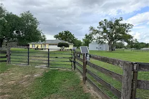 331 SE Hwy 42, Summerfield, FL 34491 - Photo 53
