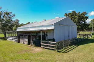 331 SE Hwy 42, Summerfield, FL 34491 - Photo 15