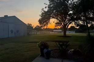 331 SE Hwy 42, Summerfield, FL 34491 - Photo 21