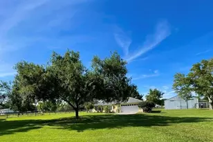 331 SE Hwy 42, Summerfield, FL 34491 - Photo 11