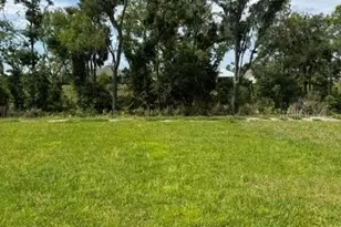 17905 Wheat Stack Ct, Parrish, FL 34219 - Photo 5