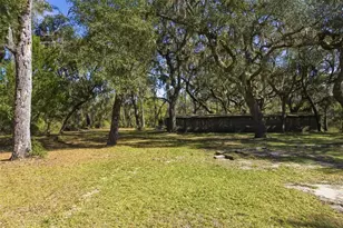 6930 Co Rd 214, Melrose, FL 32666 - Photo 35