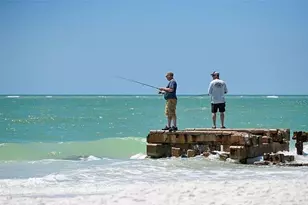 3620 Candia Ave, North Port, FL 34286 - Photo 39