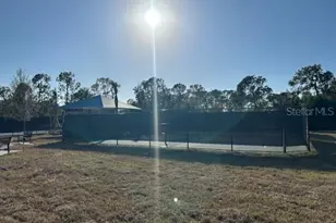 13845 Heartwood Wy, Parrish, FL 34219 - Photo 59