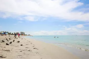 245 Alfero Way, Nokomis, FL 34275 - Photo 99