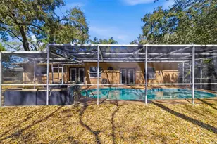 186 Sunward Ave, Palm Harbor, FL 34684 - Photo 43