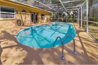 186 Sunward Avenue, Palm Harbor, FL 34684 - Photo 39