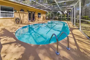 186 Sunward Ave, Palm Harbor, FL 34684 - Photo 39