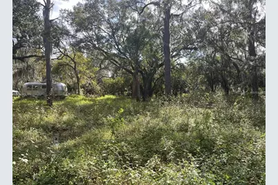 12111 Fred Drive, Riverview, FL 33578 - Photo 5