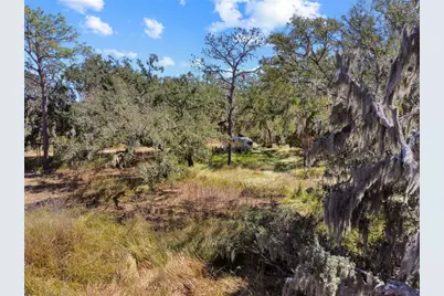 12111 Fred Drive, Riverview, FL 33578 - Photo 13
