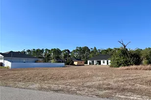 305 NE 31st Terrace, Cape Coral, FL 33909 - Photo 1