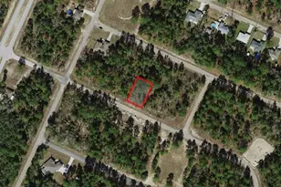 8881 N Vienna Dr, Dunnellon, FL 34433 - Photo 1