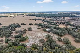 4533 SW 37th Terrace, Bushnell, FL 33513 - Photo 9