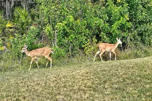 5253 Chase Oaks Dr, Sarasota, FL 34241 - Photo 49