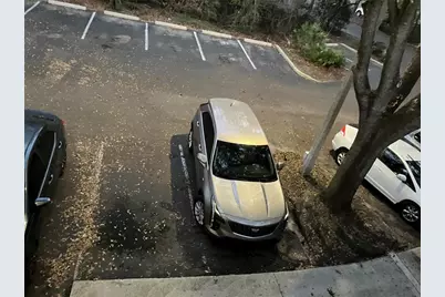 85 SE 16th Avenue #F302, Gainesville, FL 32601 - Photo 65