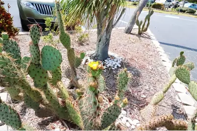 4154 Heron Way #203B, Bradenton, FL 34205 - Photo 15