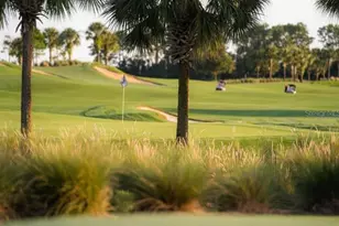 5641 Arnie Loop, Bradenton, FL 34211 - Photo 99