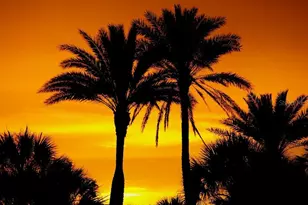 450 Beach Rd, Sarasota, FL 34242 - Photo 67