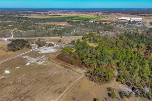 30352 Betts Rd, Myakka City, FL 34251 - Photo 49