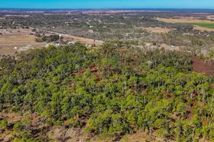 30352 Betts Rd, Myakka City, FL 34251 - Photo 51