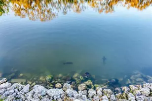 3912 14th St E, Ellenton, FL 34222 - Photo 29