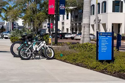 17321 Opal Sand Drive, Venice, FL 34293 - Photo 91