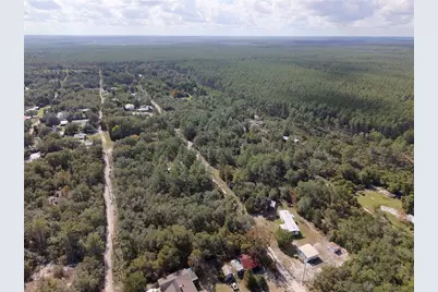 0 N 305th Terrace, Fort Mc Coy, FL 32134 - Photo 5