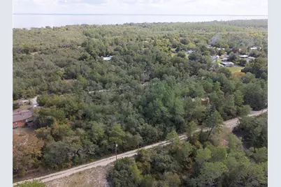 0 N 305th Terrace, Fort Mc Coy, FL 32134 - Photo 3