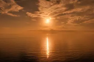 1800 Benjamin Franklin Dr, Sarasota, FL 34236 - Photo 51