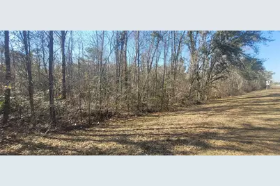 Sw Sr751, Jasper, FL 32052 - Photo 7