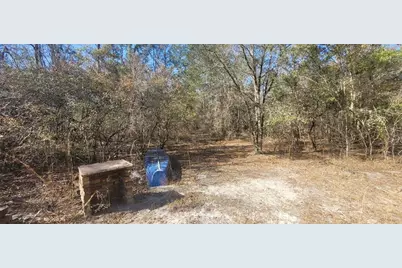 Sw Sr751, Jasper, FL 32052 - Photo 9